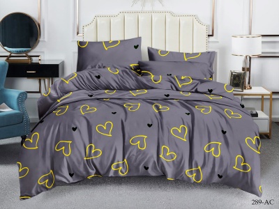 КПБ Cleo полисатин "Art Color" евро 200*220*1 220*240*1(±5) 50*70*2(±2) 70*70*2(±2) (31/289-AC, Оригинальное, Серый)