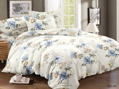 КПБ Cleo полисатин "Art Color" дуэт 145*215*2 220*240*1(±5) 50*70*2(±2) 70*70*2(±2) (41/042-AC, Цветы, Молочный)