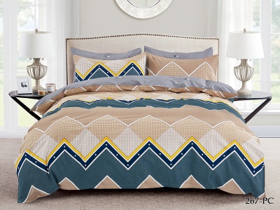 КПБ Cleo Поплин "Pure Cotton" дуэт 145*215*2 220*240*1(±5) 50*70*2(±2) 70*70*2(±2) в ПВХ (41/267-PC, Геометрия, Мультиколор) КПБ Cleo Поплин "Pure Cotton" дуэт 145*215*2 220*240*1(±5) 50*70*2(±2) 70*70*2(±2) в ПВХ (41/267-PC, Геометрия, Мультиколор)