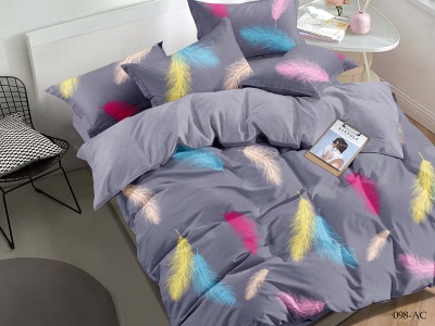 КПБ Cleo полисатин "Art Color" полуторный 145*215*1 150*220*1(±5) 70*70*2(±2) (15/098-AC, Оригинальное, Мультиколор) КПБ Cleo полисатин "Art Color" полуторный 145*215*1 150*220*1(±5) 70*70*2(±2) (15/098-AC, Оригинальное, Мультиколор)