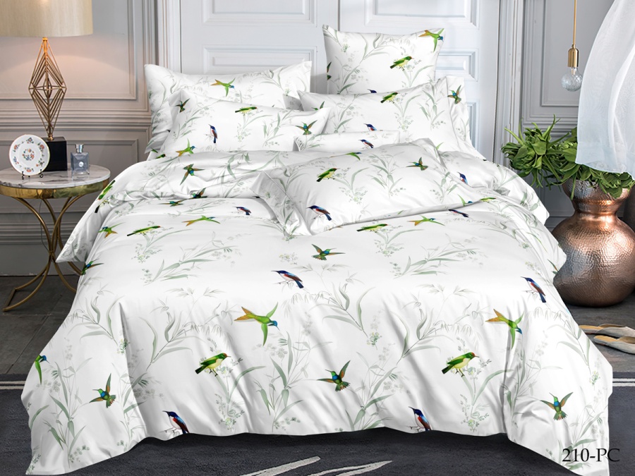 КПБ Cleo Поплин "Pure Cotton" 210-PC