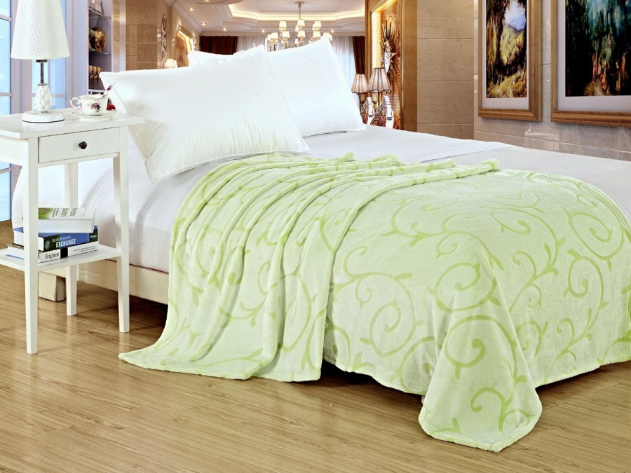 Плед Cleo Валенсия велсофт 012-fs