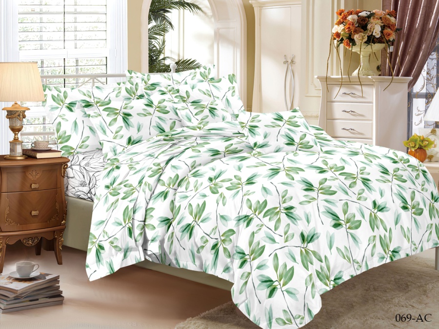 КПБ Cleo полисатин "Art Color" 069-AC