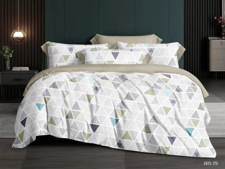 КПБ Cleo тенсель "Soft Tencel" полуторный 150*210*1 160*230*1(±5) 50*70+8*2 (16/003-TS, Геометрия, Мультиколор)